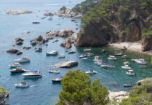 SOS Costa Brava impulsa una campanya per frenar la degradació de la posidònia al litoral