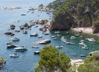 SOS Costa Brava impulsa una campanya per frenar la degradació de la posidònia al litoral