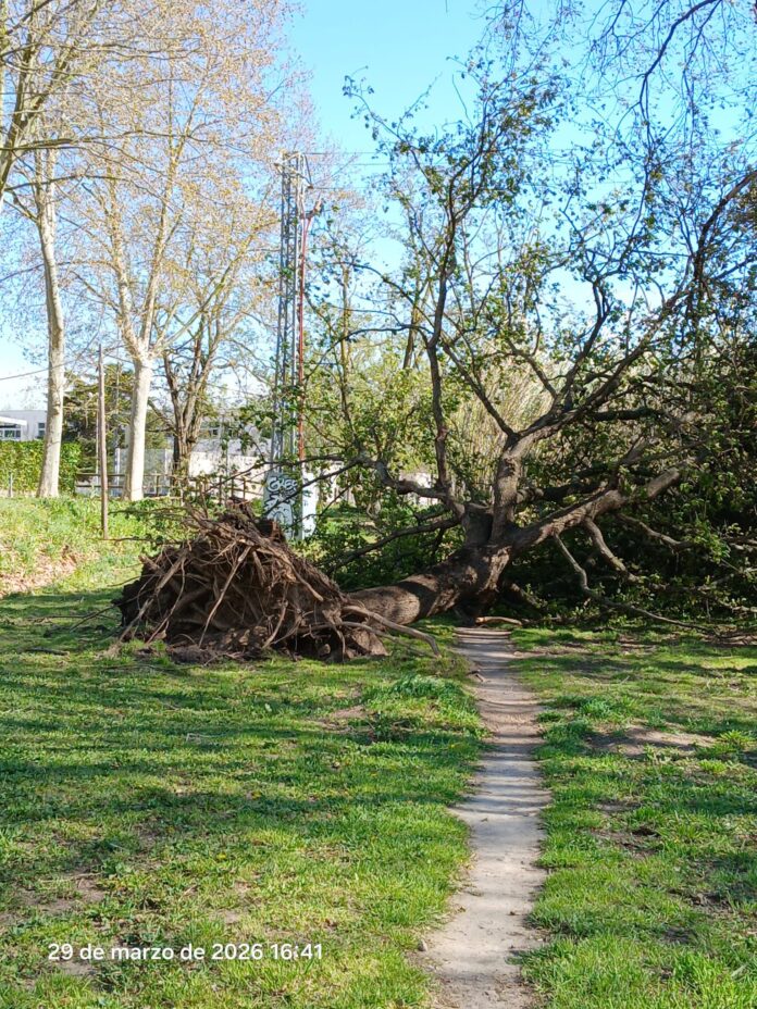 ventada Platja d'aro