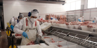 Les exportacions de les càrnies gironines cauen un 22% al febrer per l’impacte dels aranzels de la Xina