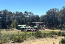 Una rave aplega unes 100 persones i 80 vehicles en una finca al massís de les Gavarres, al Baix Empordà