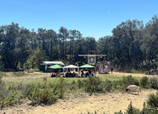 Una rave aplega unes 100 persones i 80 vehicles en una finca al massís de les Gavarres, al Baix Empordà