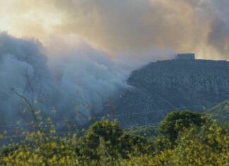 2004: L’any que el foc va cremar prop de 700 hectàrees del Montgrí