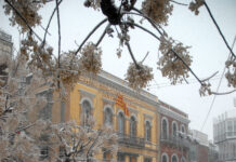 2010: La nevada que va aturar Palafrugell