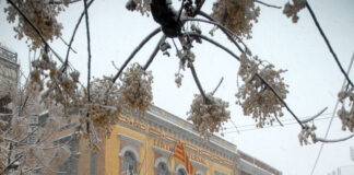 2010: La nevada que va aturar Palafrugell