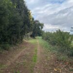 privat:-aprovacio-inicial-de-l’inventari-municipal-de-camins-de-cruilles,-monells-i-sant-sadurni-de-l’heura