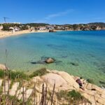 La platja de la Fosca i el port nàutic Marina de Palamós revaliden el distintiu de Bandera Blava privat:-la-platja-de-la-fosca-i-el-port-nautic-marina-palamos-guardonats-un-any-mes-amb-el-distintiu-de-bandera-blava