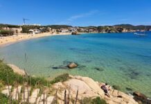La platja de la Fosca i el port nàutic Marina de Palamós revaliden el distintiu de Bandera Blava privat:-la-platja-de-la-fosca-i-el-port-nautic-marina-palamos-guardonats-un-any-mes-amb-el-distintiu-de-bandera-blava