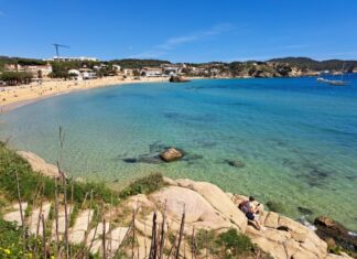 La platja de la Fosca i el port nàutic Marina de Palamós revaliden el distintiu de Bandera Blava privat:-la-platja-de-la-fosca-i-el-port-nautic-marina-palamos-guardonats-un-any-mes-amb-el-distintiu-de-bandera-blava