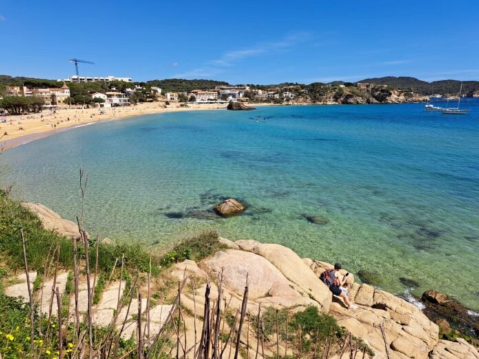 privat:-la-platja-de-la-fosca-i-el-port-nautic-marina-palamos-guardonats-un-any-mes-amb-el-distintiu-de-bandera-blava
