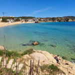 privat:-la-platja-de-la-fosca-i-el-port-nautic-marina-palamos-guardonats-un-any-mes-amb-el-distintiu-de-bandera-blava