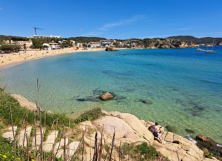 La platja la Fosca de Palamós torna a acollir el cicle Cinema Lliure a la Platja amb dues projeccions gratuïtes privat:-la-platja-de-la-fosca-i-el-port-nautic-marina-palamos-guardonats-un-any-mes-amb-el-distintiu-de-bandera-blava