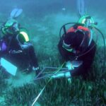 privat:-alerten-de-l’impacte-del-contacte-dels-submarinistes-amb-elements-del-fons-mari-de-les-medes