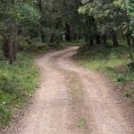 Palafrugell arranja els camins de terra afectats pel temporal Harry privat:-l’ajuntament-de-palafrugell-arranja-els-camins-de-terra-afectats-pel-temporal-harry