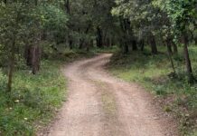 Palafrugell arranja els camins de terra afectats pel temporal Harry privat:-l’ajuntament-de-palafrugell-arranja-els-camins-de-terra-afectats-pel-temporal-harry