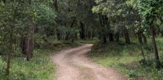 Palafrugell arranja els camins de terra afectats pel temporal Harry privat:-l’ajuntament-de-palafrugell-arranja-els-camins-de-terra-afectats-pel-temporal-harry