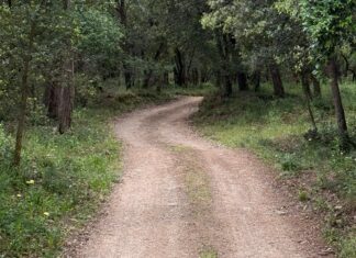 Palafrugell arranja els camins de terra afectats pel temporal Harry privat:-l’ajuntament-de-palafrugell-arranja-els-camins-de-terra-afectats-pel-temporal-harry