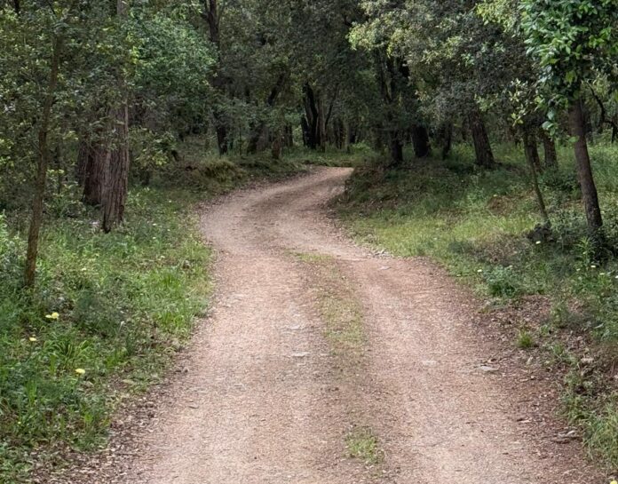 privat:-l’ajuntament-de-palafrugell-arranja-els-camins-de-terra-afectats-pel-temporal-harry privat:-l’ajuntament-de-palafrugell-arranja-els-camins-de-terra-afectats-pel-temporal-harry