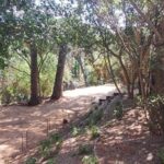 privat:-sant-feliu-de-guixols-estrena-els-jardins-del-monestir-renovats
