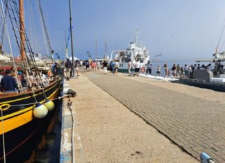 Centenars de persones omplen el port de Palamós en l’inici del festival marítim Palamós Terra de Mar privat:-el-port-de-palamos-s’omple-de-public-en-la-primera-jornada-del-festival-maritim-de-la-costa-brava,-que-dema-continua,-tot-el-dia,-amb-activitats-per-a-tota-la-familia