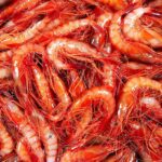 El Govern destina 2,7 milions d’euros a les confraries de pescadors per reforçar la seva activitat privat:-s’inicia-una-nova-edicio-del-menu-de-la-gamba-de-palamos,-que-s’oferira-a-onze-restaurants-certificats-amb-la-marca-de-garantia-d’aquest-destacat-producte-palamosi