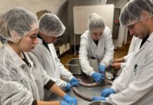 L’Escola Agrària i Alimentària de l’Empordà obre les preinscripcions del cicle superior d’indústries alimentàries Escola Agrària i Alimentària de l’Empordà
