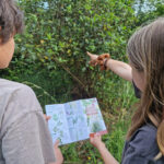 La Diputació de Girona publica una guia sobre plantes ornamentals invasores La guia que ha editat la Diputació de Girona Data de publicació: dijous 28 de maig del 2026, 16:16 Localització: Girona Autor: Redacció