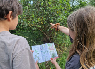 La Diputació de Girona publica una guia sobre plantes ornamentals invasores La guia que ha editat la Diputació de Girona Data de publicació: dijous 28 de maig del 2026, 16:16 Localització: Girona Autor: Redacció