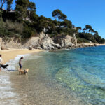 Una cinquantena de platges tindran àrea de bany amb gossos aquest estiu
