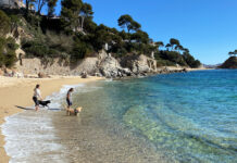 Una cinquantena de platges tindran àrea de bany amb gossos aquest estiu