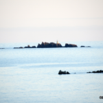 2015: Les Illes Formigues, repartides entre Palafrugell i Palamós