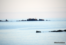 2015: Les Illes Formigues, repartides entre Palafrugell i Palamós