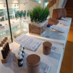 El Museu del Suro aposta per la innovació amb una exposició sobre els nous usos sostenibles del suro Suro exposició