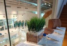 El Museu del Suro aposta per la innovació amb una exposició sobre els nous usos sostenibles del suro Suro exposició