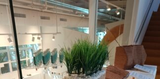 El Museu del Suro aposta per la innovació amb una exposició sobre els nous usos sostenibles del suro Suro exposició