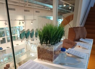 El Museu del Suro aposta per la innovació amb una exposició sobre els nous usos sostenibles del suro Suro exposició