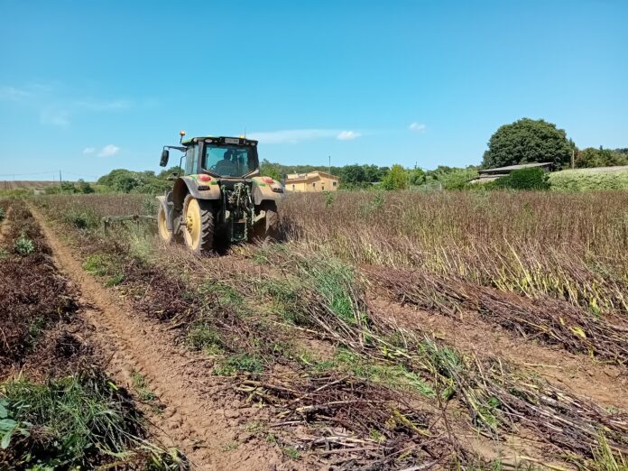 [Imagen 2] Labores agrícolas en el terreno del proyecto FAVAPROT