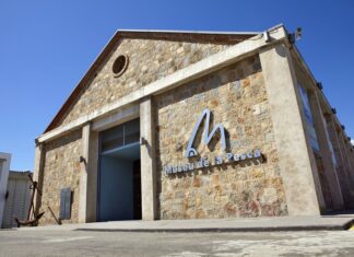 El Museu de la Pesca impulsa un projecte de restauració de la biodiversitat marina