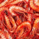 Onze restaurants participen en una nova edició del Menú de la Gamba de Palamós Gamba de Palamós