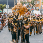 El 64è Carroussel Costa Brava tornarà a omplir els carrers de Palafrugell aquest diumenge privat:-palafrugell-celebra-diumenge-el-64e-carroussel-costa-brava, carnaval-de-carnavals