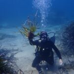 SOS Costa Brava denuncia que no s’aplica la nova normativa que protegeix la posidònia a la Costa Brava privat:-sos-costa-brava-denuncia-l’incompliment-del-nou-decret-que-protegeix-la-posidonia-a-la-costa-brava