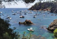 Els ecologistes marquen amb ‘bandera negra’ per contaminació l’Ametlla, Sant Adrià de Besòs i el Golfet de Palafrugell privat:-els-ecologistes-alcen-‘bandera-negra’-per-contaminacio-al-golfet-de-palafrugell