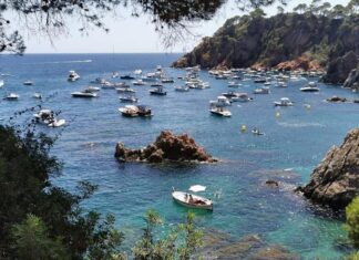 Els ecologistes marquen amb ‘bandera negra’ per contaminació l’Ametlla, Sant Adrià de Besòs i el Golfet de Palafrugell privat:-els-ecologistes-alcen-‘bandera-negra’-per-contaminacio-al-golfet-de-palafrugell