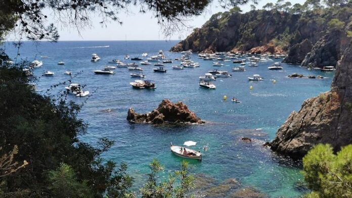 privat:-els-ecologistes-alcen-‘bandera-negra’-per-contaminacio-al-golfet-de-palafrugell