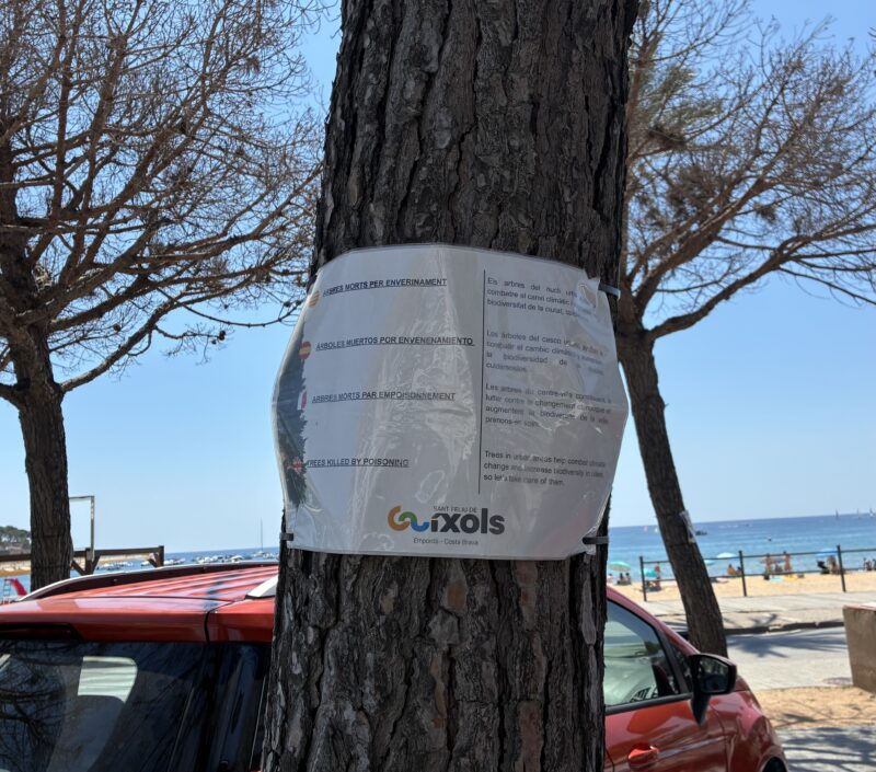 Cartell penjat per l’Ajuntament de Sant Feliu