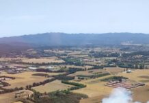 Una vintena de dotacions de Bombers treballen en un incendi a Canapost