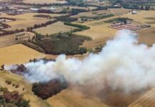 Extingeixen l’incendi i desconfinen el nucli de Canapost