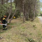 Palamós reforça la prevenció d’incendis amb treballs forestals a La Fosca i Castell tasques de neteja palamós
