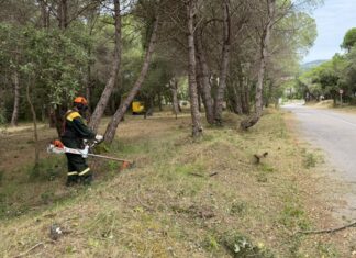 Palamós reforça la prevenció d’incendis amb treballs forestals a La Fosca i Castell tasques de neteja palamós