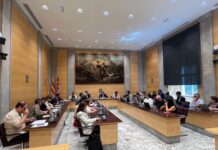 La Diputació de Girona aprova una moció per impulsar una transició energètica més participada i amb lideratge públic
